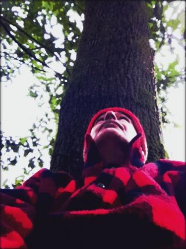 Max | Silvothérapie arb4.jpg