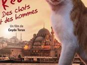 Concours: places pour Kedi-Des chats hommes gagner