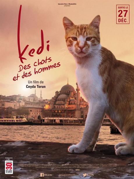 Jeu Concours: 2X2 places pour « Kedi-Des chats et des hommes » à gagner