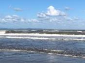 Joyeux Noël merci celles/ceux travaillent pour nous permettre passer belle fête