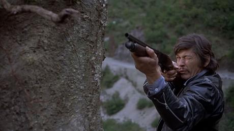 LE FLINGUEUR (Critique Blu-Ray) LE FLINGUEUR (Critique Blu-Ray)