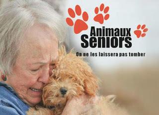 Joyeux Noël : association Animaux Séniors