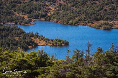 Voyage au Canada : 2ème étape : De Percé à Tadoussac Voyage au Canada : 2ème étape : De Percé à Tadoussac