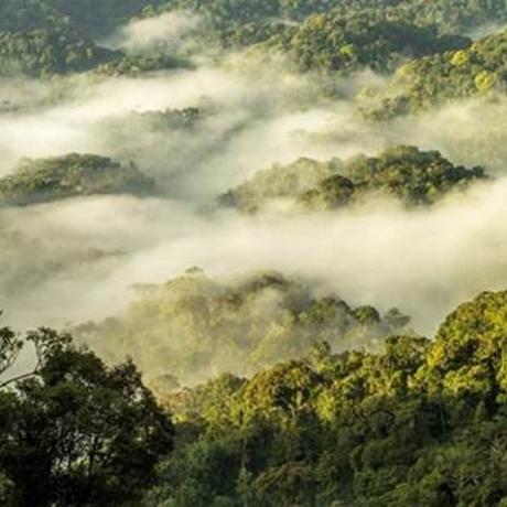 image002-20-jpg One&Only Resorts lance les Nature Resorts