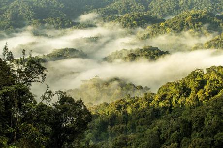 One&Only Resorts lance les Nature Resorts One&Only Resorts lance les Nature Resorts