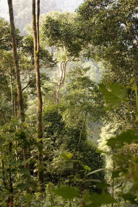 One&Only Resorts lance les Nature Resorts One&Only Resorts lance les Nature Resorts