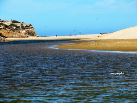 Pays Etranger - le Portugal- bord de mer 1