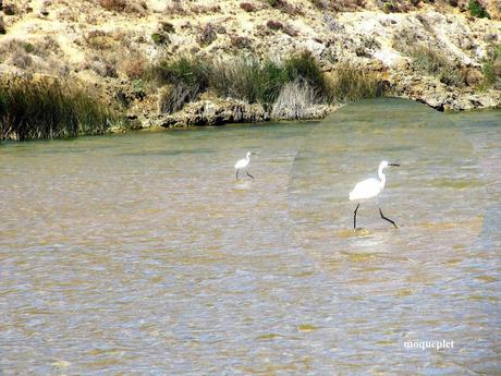 Pays Etranger - le Portugal- bord de mer 1