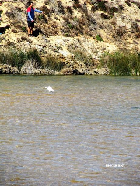 Pays Etranger - le Portugal- bord de mer 1