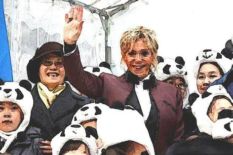 Le panda chouchouté par Brigitte Macron