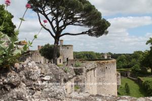 Votre top 10 2017