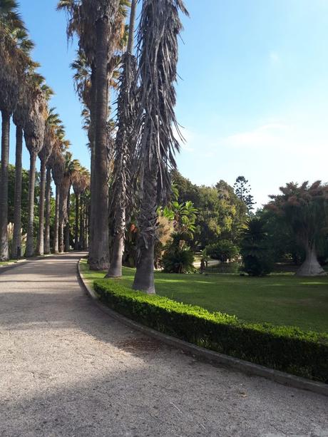 Jardin botanique de Lisbonne
