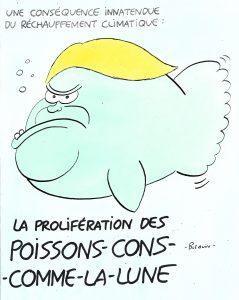 Le journal du professeur Blequin (17)