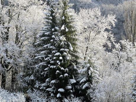 Mes ouvrages - Minuit ne va pas tarder à sonner Mes ouvrages - Minuit ne va pas tarder à sonner
