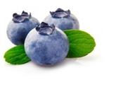CANCER myrtilles pour booster traitement