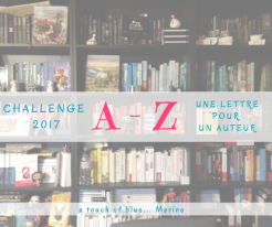 [Bilan mensuel] • Décembre • 2017/12