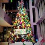 App du jour : kirakira+ (iPhone & iPad - 1,09€) kirakira 150x150 - App du jour : kirakira+ (iPhone & iPad - 1,09€)