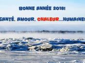 Bonne Année 2018...