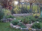 Bonne année 2018 jardin