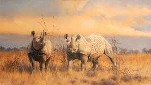 Africa, carnets d’artiste de Kim Donaldson