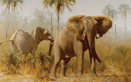 Africa, carnets d’artiste de Kim Donaldson