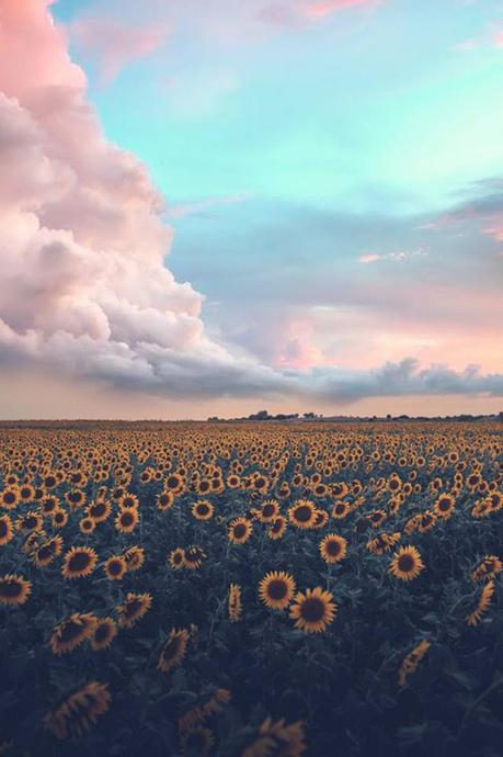 Top 50 des images les plus marquantes de 2017 Top 50 des images les plus marquantes de 2017