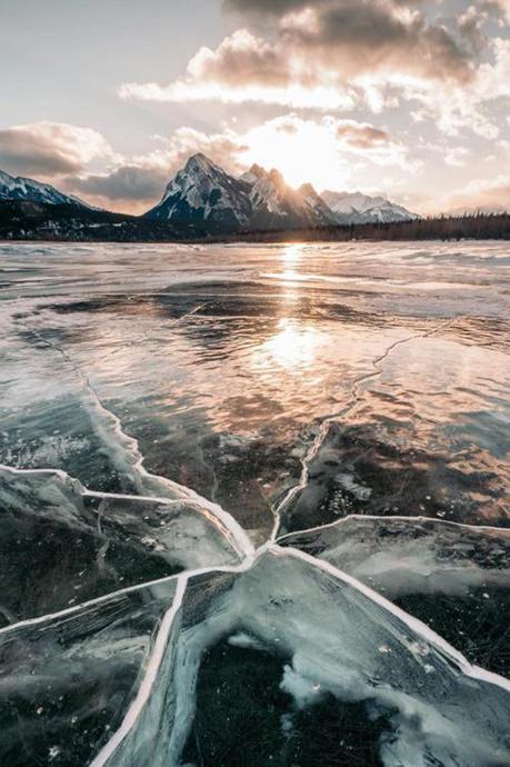 Top 50 des images les plus marquantes de 2017 Top 50 des images les plus marquantes de 2017