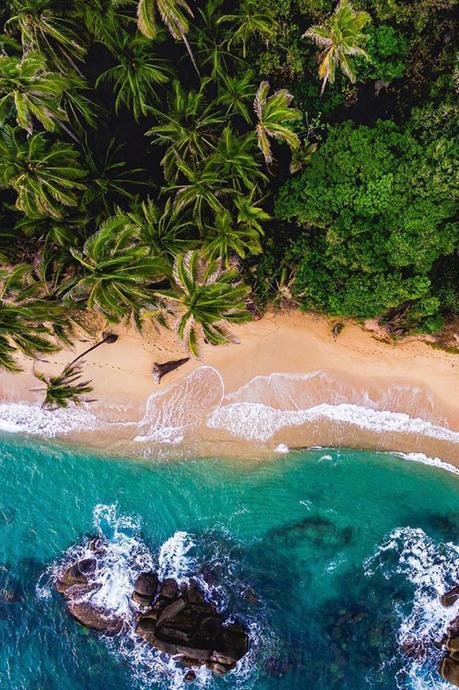 Top 50 des images les plus marquantes de 2017 Top 50 des images les plus marquantes de 2017