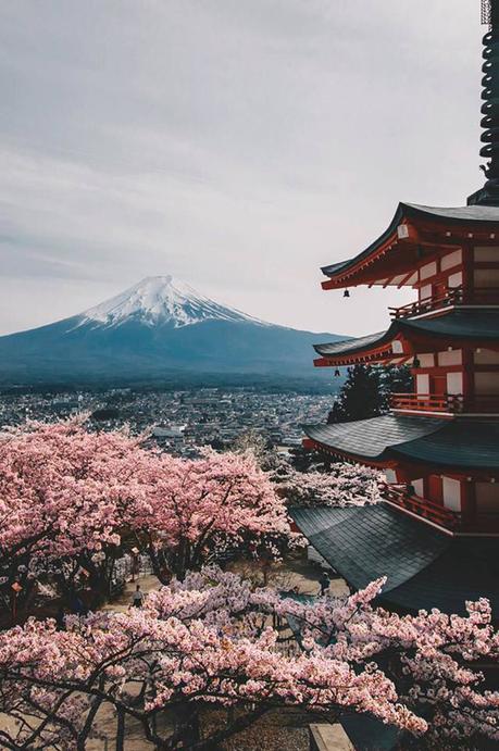 Top 50 des images les plus marquantes de 2017 Top 50 des images les plus marquantes de 2017