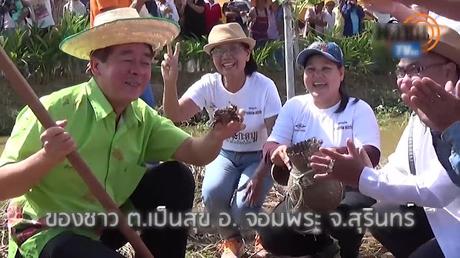 Thaïlande, et si votre année commençait par une compétition de chasse aux crabes des rizières ? (vidéo)