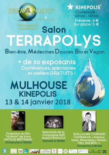 Terrapolys : un festival bio, vegan et bien-être en Alsace