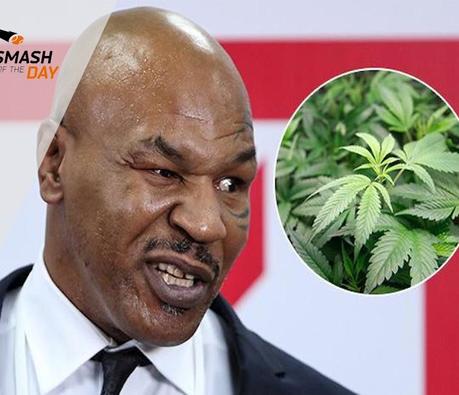 Mike Tyson va devenir producteur de cannabis