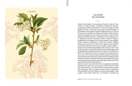 L'Herbier de Marcel Proust - Dane Mc Dowell