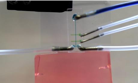 IMPLANTS CÉRÉBRAUX : Des nanotubes pour pénétrer en douceur le tissu cérébral