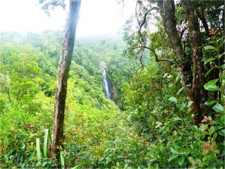 La Réunion : visite de l’île, la côte au vent