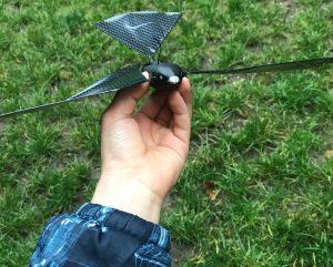 Bionic Bird, l’oiseau biomimétique pour voler avec les oiseaux