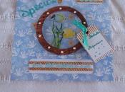 Album aquarium Rochelle pages