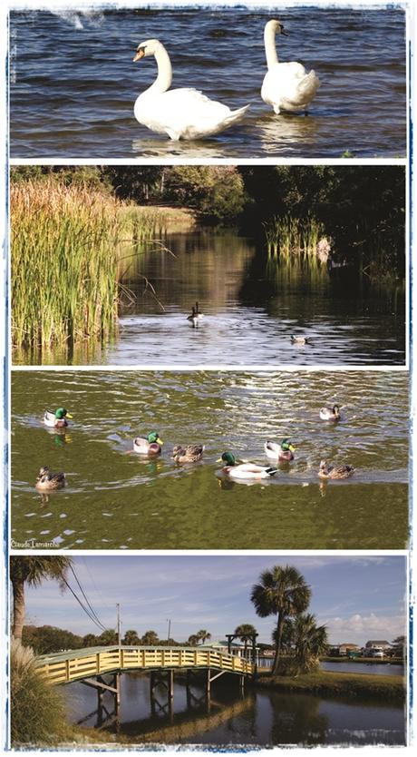 La fois où j'ai passé les Fêtes dans le sud (2)