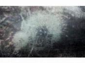 Fragments Nuit, inutiles écrits 19-20-21