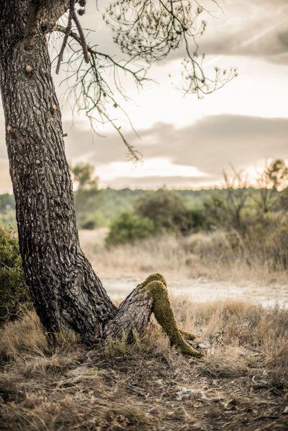Human Nature par Monsieur Plant
