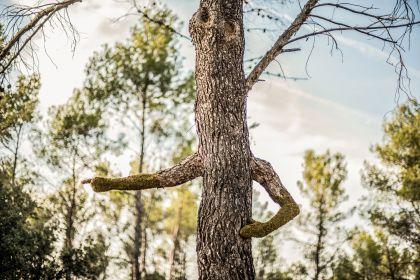 Human Nature par Monsieur Plant