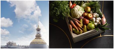 Printemps du Goût Printemps du Goût