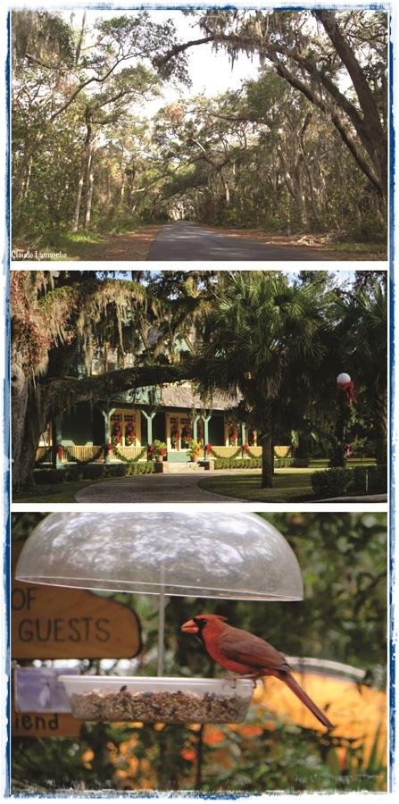 La fois où j'ai passé les Fêtes dans le sud (3)