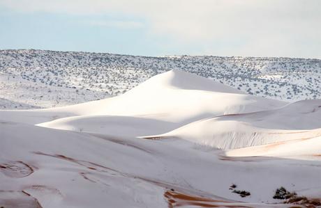 De la neige est tombée au Sahara