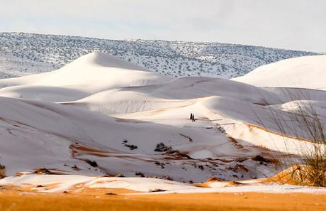 De la neige est tombée au Sahara