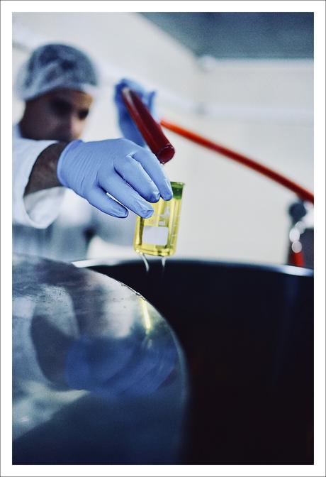 L’or du Maroc : l’Argan et Melvita L’or du Maroc : l’Argan et Melvita