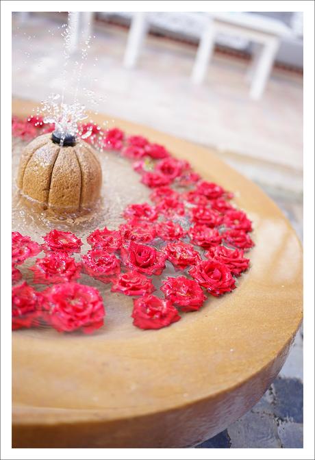 L’or du Maroc : l’Argan et Melvita L’or du Maroc : l’Argan et Melvita