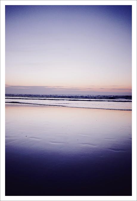 L’or du Maroc : l’Argan et Melvita L’or du Maroc : l’Argan et Melvita