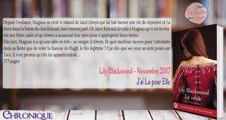 Les frères Kincaid #2 – Le rebelle – Lily Blackwood