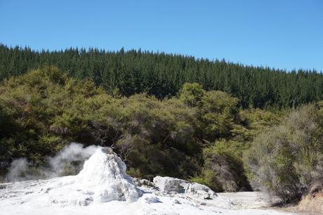 Nouvelle-Zélande : Rotorua / wai-o-tapu